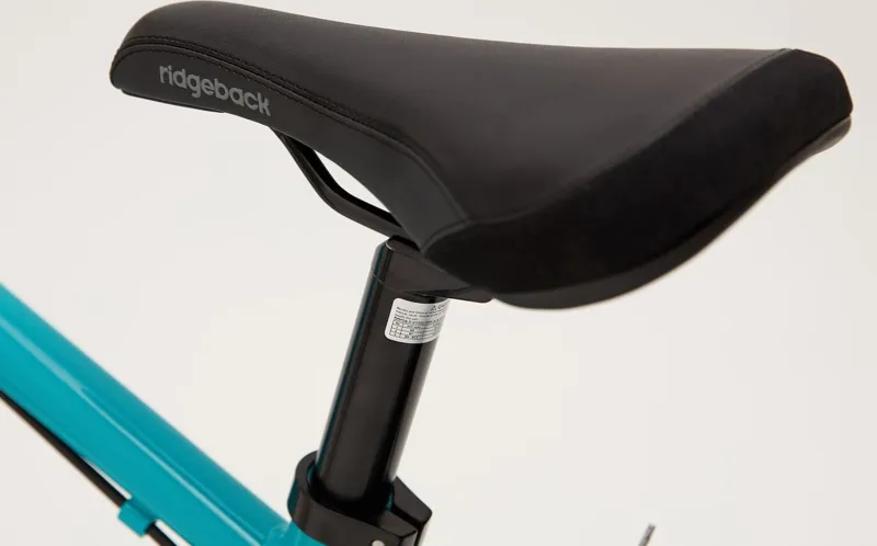 Ridgeback Dimension 20 Kids Bike in Blue-5